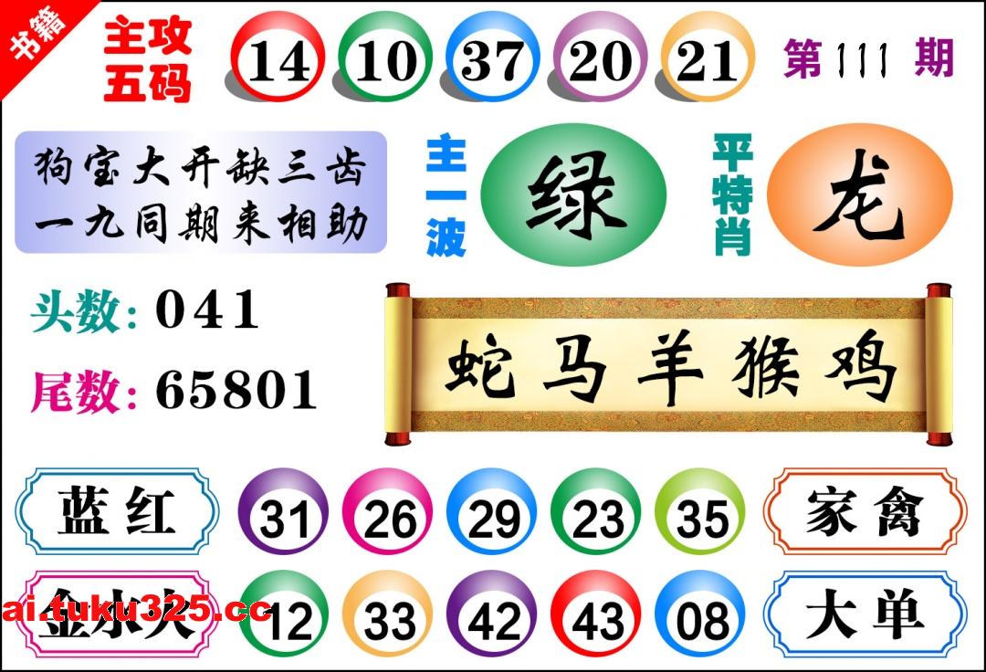 第2026111期 · 主攻五码
