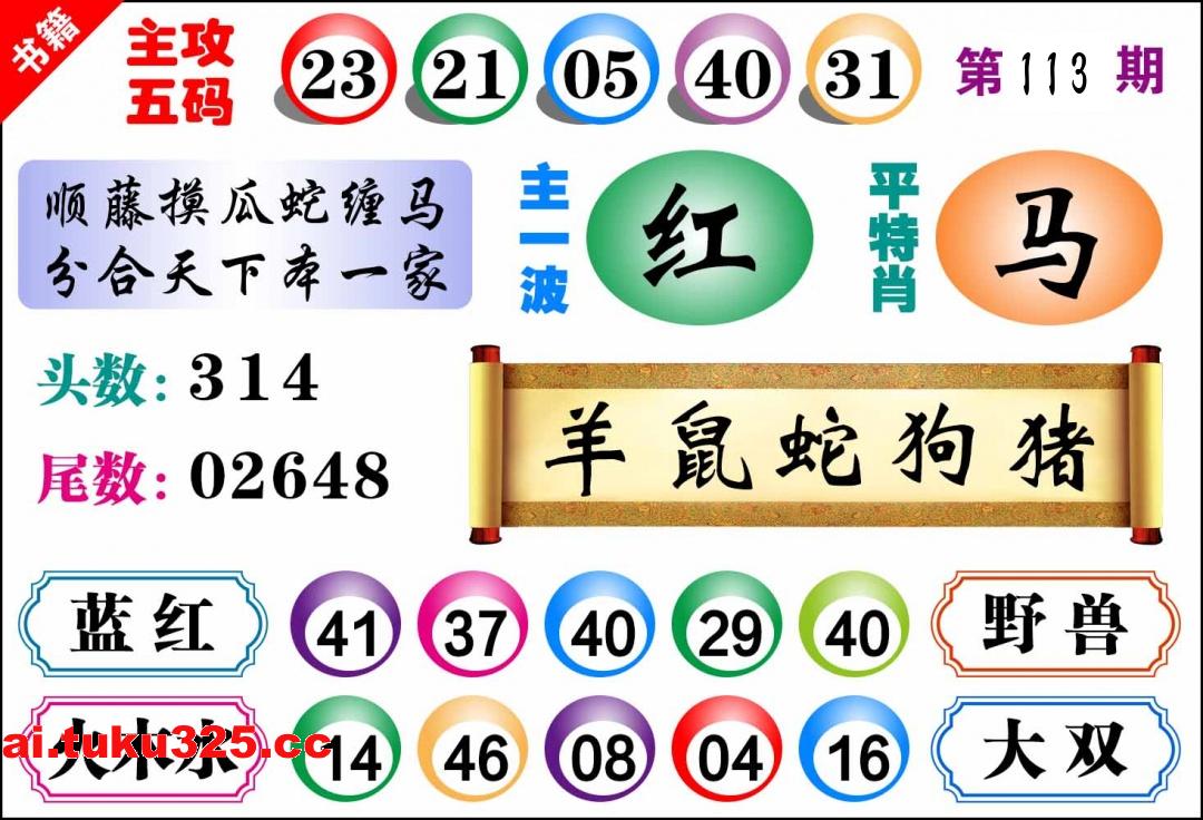第2026113期 · 主攻五码