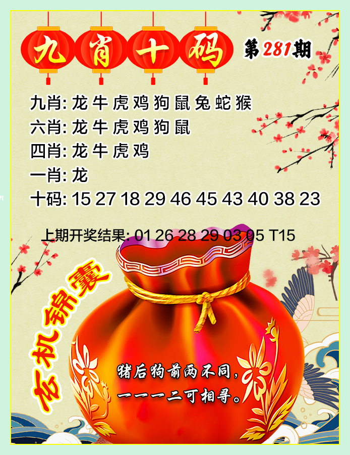 九肖十码