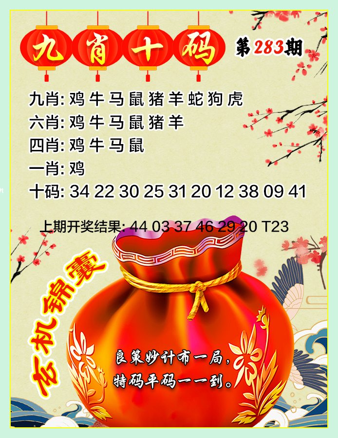 九肖十码